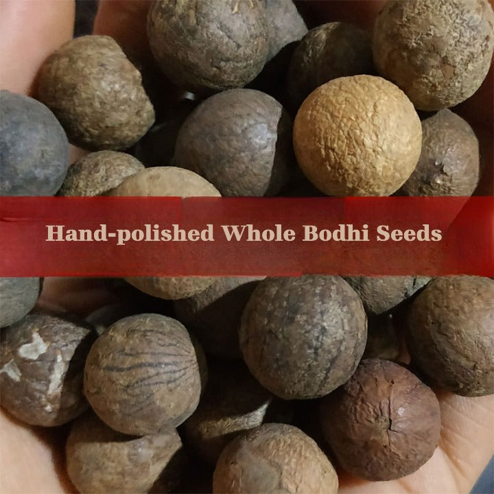 108 natural Bodhi seed beads hand-strung for meditation
