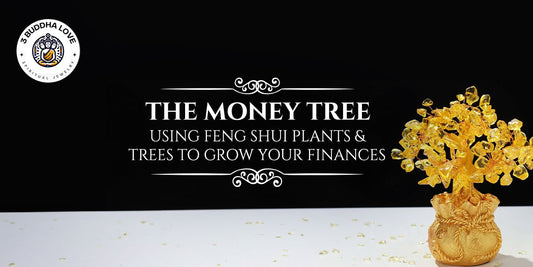 The Money Tree: Using Feng Shui Plants and Trees to Grow Your Finances